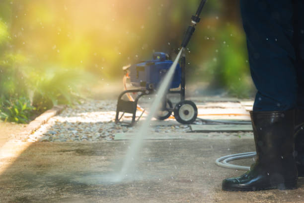 Best Fence Cleaning and Maintenance in Windsor, NC